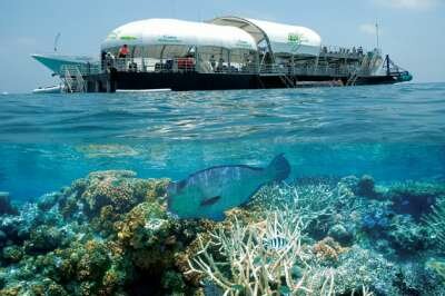 Большой Барьерный Риф