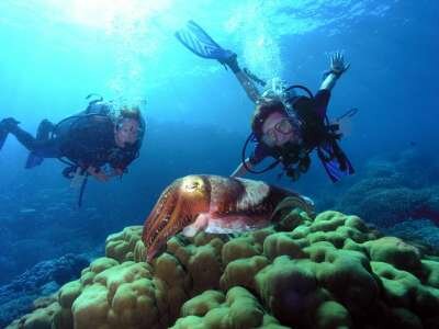 Большой Барьерный Риф