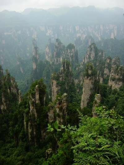 Национальный парк Чжанцзяцзе Национальный парк Чжанцзяцзе