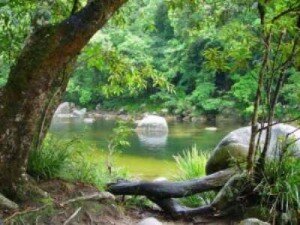wpid-img_alt_srchttpwwwonline-travelingruwp-contentuploads2013.jpg