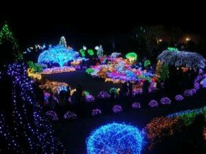 wpid-img_srchttptotamtotutruwp-contentuploads201212light-001-6.jpg