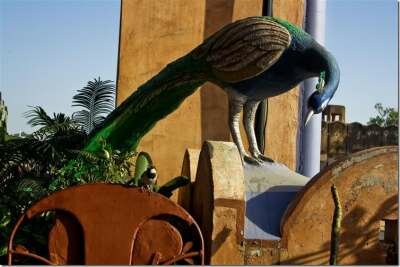 Джайпур — розовый город в пустыне Джайпур — розовый город в пустыне