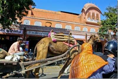 Джайпур — розовый город в пустыне Джайпур — розовый город в пустыне