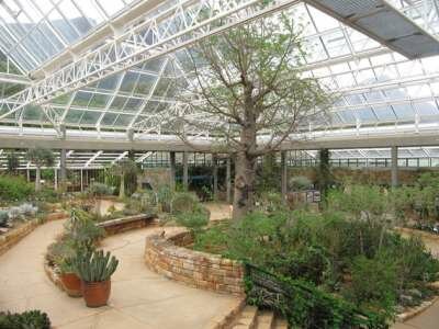 Достопримечательности Кейптауна Достопримечательности Кейптауна