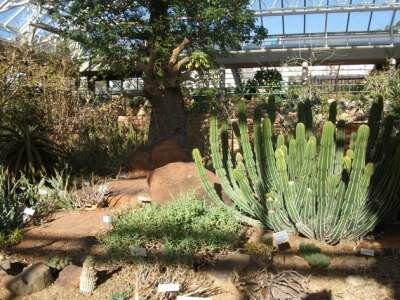 Достопримечательности Кейптауна Достопримечательности Кейптауна