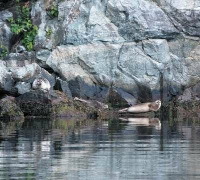 Фьорды Норвегии Фьорды Норвегии