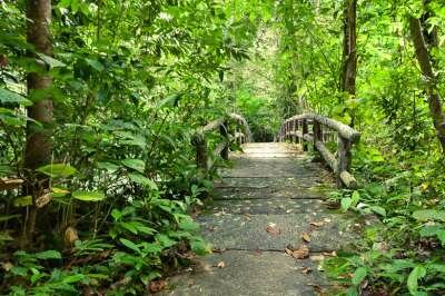 Парк Thanbok Khoranee National Park Парк Thanbok Khoranee National Park