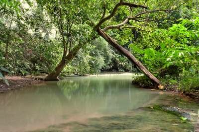 Парк Thanbok Khoranee National Park Парк Thanbok Khoranee National Park