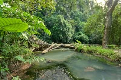 Парк Thanbok Khoranee National Park Парк Thanbok Khoranee National Park