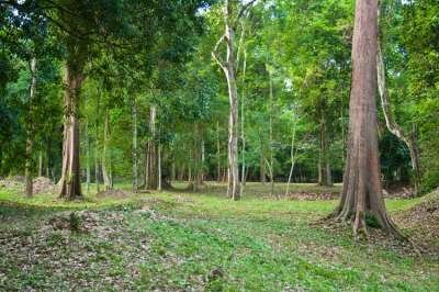 Ангкор Ват — древнее наследие кхмеров Ангкор Ват — древнее наследие кхмеров