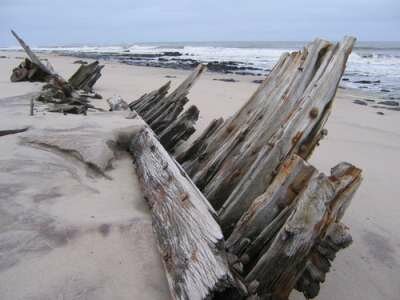 Берег скелетов