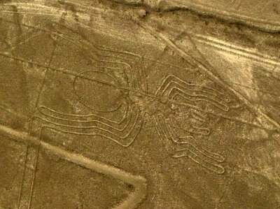 Линии Наска