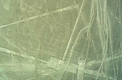 Линии Наска