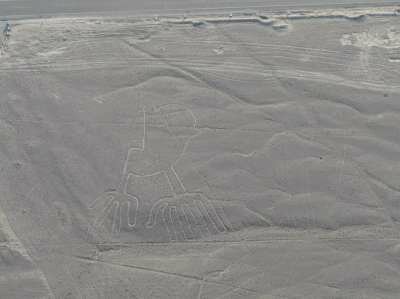 Линии Наска