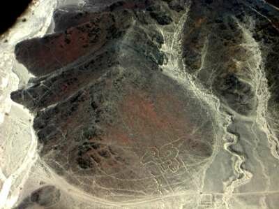 Линии Наска