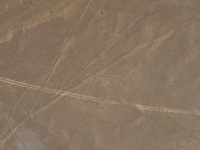 Линии Наска