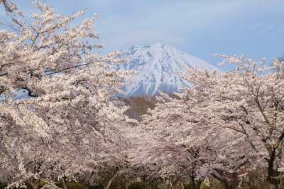Вулкан Фудзияма