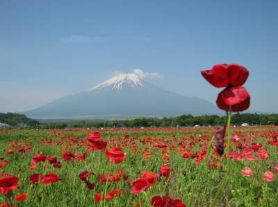 Вулкан Фудзияма