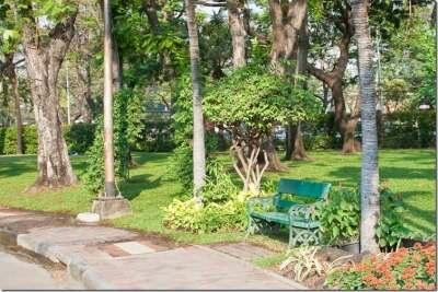 Парки Бангкока: Люмпини - прогулка с варанами